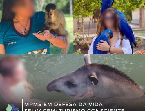 O Ministério Público de Mato Grosso do Sul (MPMS) está agindo para proteger a vida selvagem em Bonito!