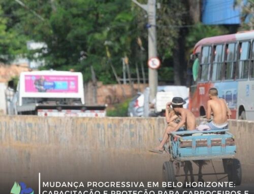 Mudança progressiva em Belo Horizonte: capacitação e proteção para carroceiros e cavalos ( Cloned )