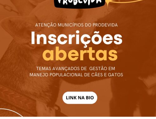 Curso de Temas Avançados para a Gestão do Manejo Populacional de Cães e Gatos 🐾