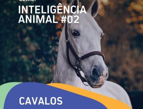 Série: Inteligência Animal