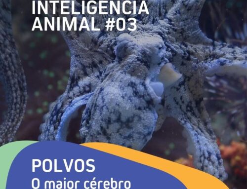 Série: Inteligência Animal