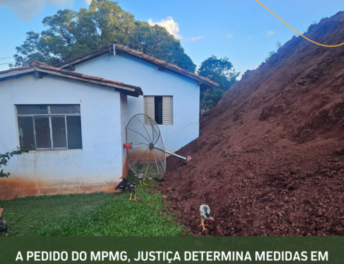 A pedido do MPMG, Justiça determina medidas em favor dos animais atingidos pelo deslizamento de mina de rejeitos em Conceição do Pará