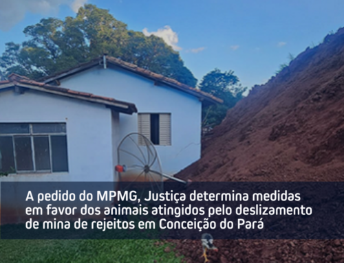 A pedido do MPMG, Justiça determina medidas em favor dos animais atingidos pelo deslizamento de mina de rejeitos em Conceição do Pará