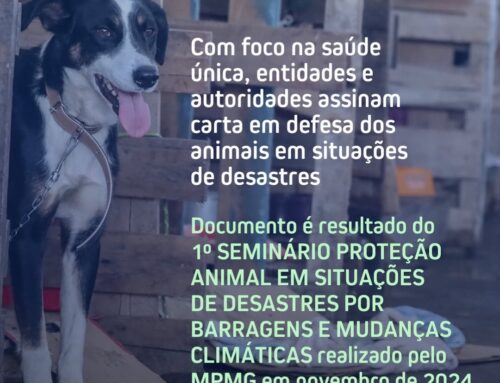 Carta Minas Gerais de proteção animal em situações de desastres por barragens e mudanças climáticas