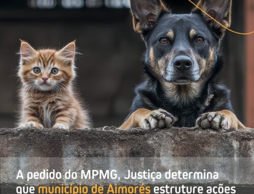 A pedido do MPMG, Justiça determina que município de Aimorés estruture ações de manejo populacional de cães e gatos