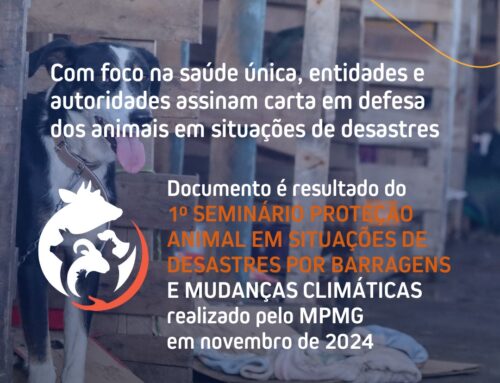 Carta Minas Gerais de proteção animal em situações de desastres por barragens e mudanças climáticas