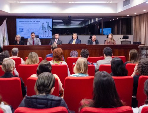 Seminário Vida em Rede: confira os vídeos do evento